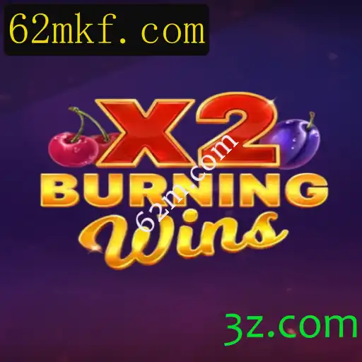 Descubra o Mundo do Jogo BurningWinsX2